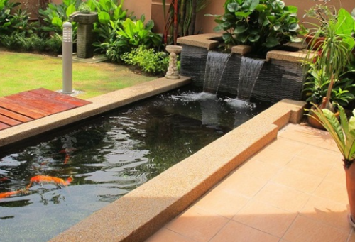 Hồ Koi Nhà Phố - Công Ty